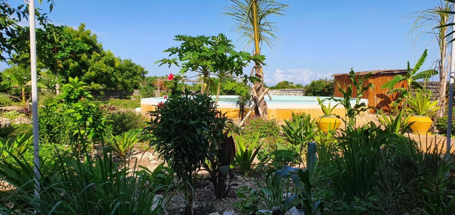 Matemwe Ocean View Villas Luaran gambar